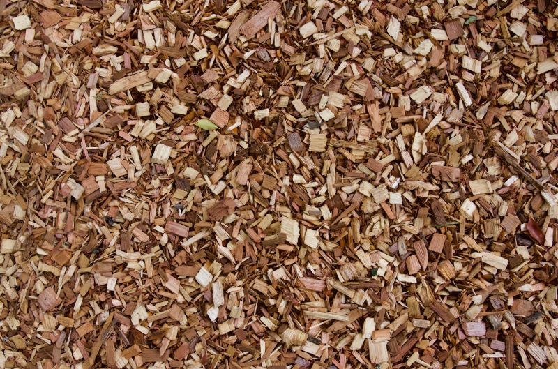 Playground Area with Wood Chips