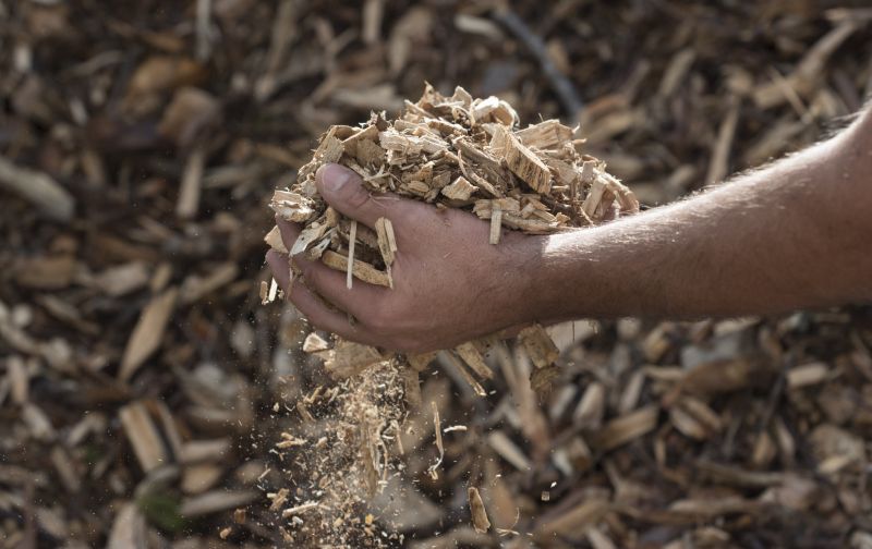 Wood Chips Delivery at Peak Season
