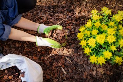 Add a Decorative Touch to Your Landscaping!